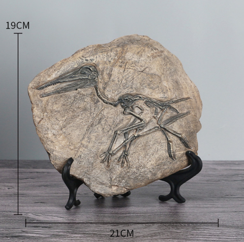 Fóssil de Dinossauro Resina